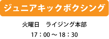 ジュニアキックボクシング