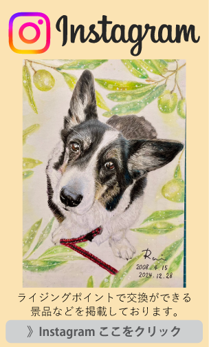 インスタグラム